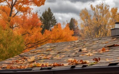 How to Spot Roof Leaks Early in Your Utah Home