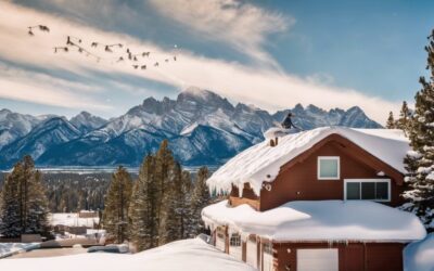 How to Care for Your Roof After a Snowstorm in Utah