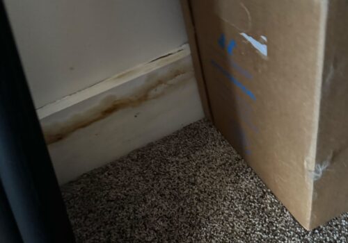 Behind the Scenes: Home Inspections in Paradise