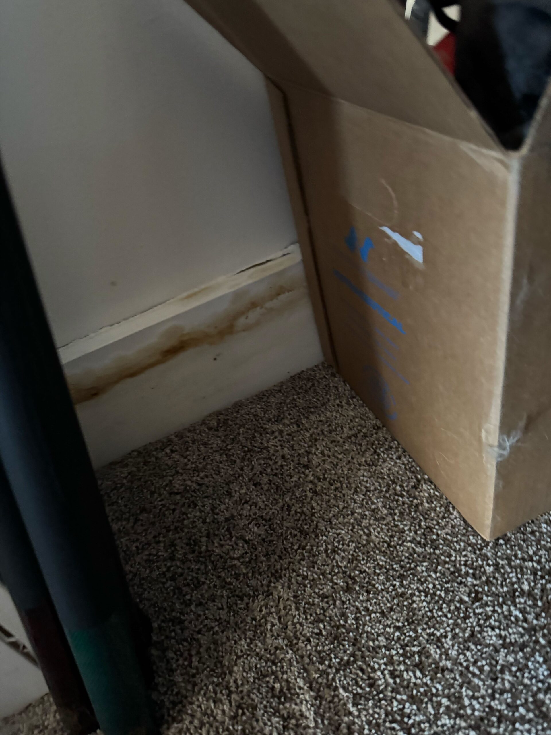 Behind the Scenes: Home Inspections in Paradise