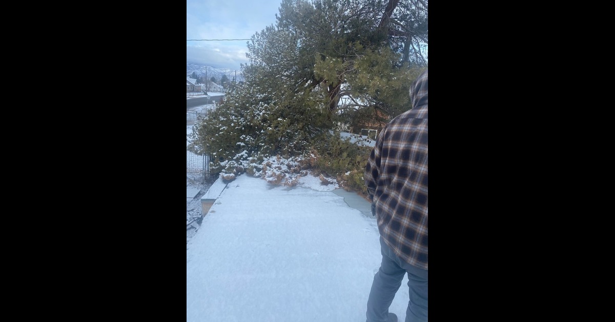 TPO Roofing: A Smart Choice for Mobile Homes