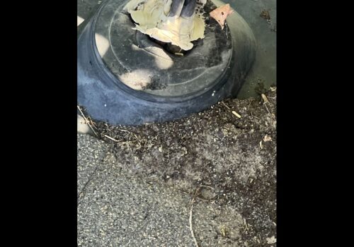 Behind the Scenes: Our Roof Repair Work in American Fork