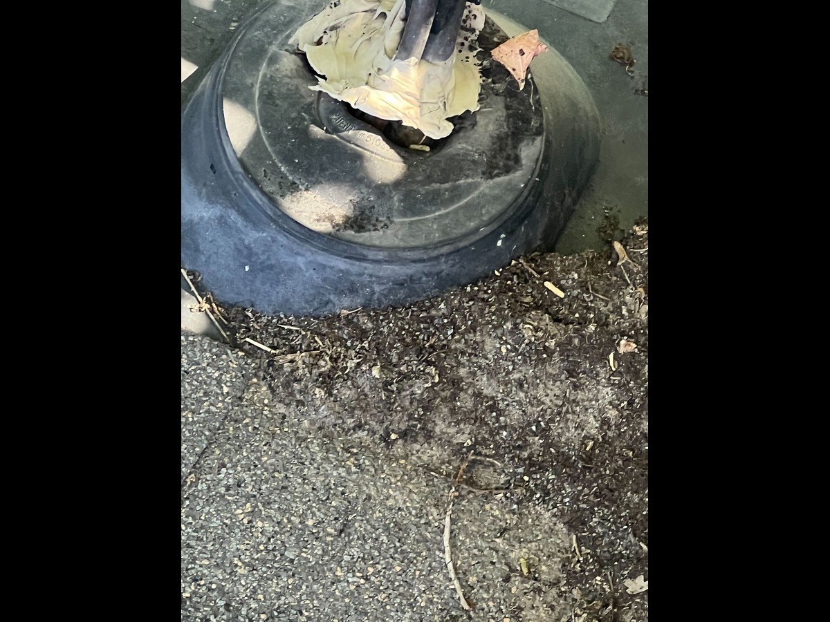 Behind the Scenes: Our Roof Repair Work in American Fork