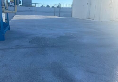 Waterproofing Made Easy: Our GacoRoof Coating Project