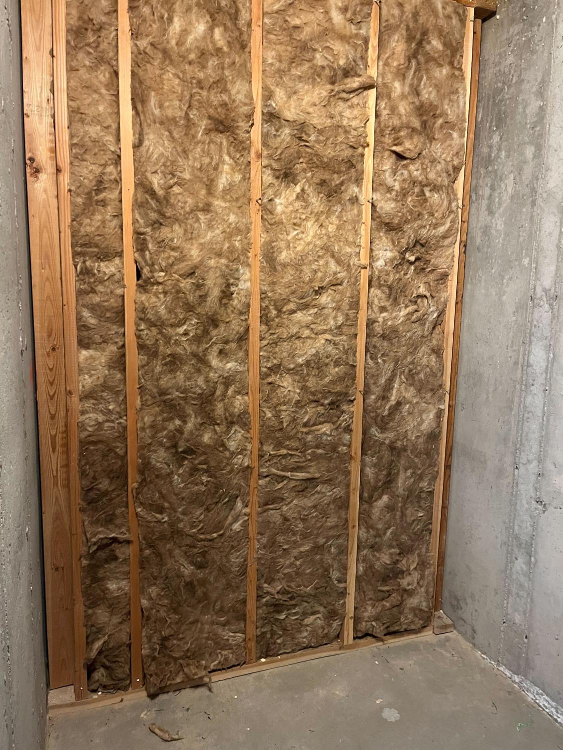 Making Room for More: Our Laundry Space Expansion