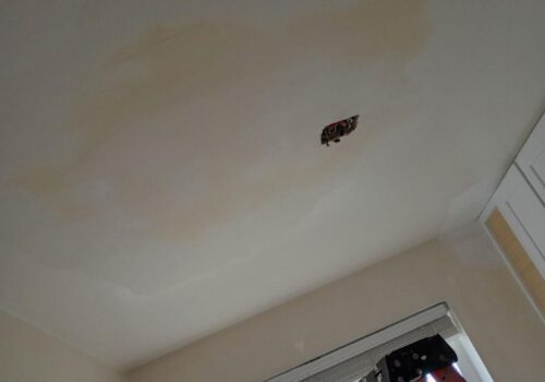 Crafting a Special Space: Mother-in-Law Apartment in Orem