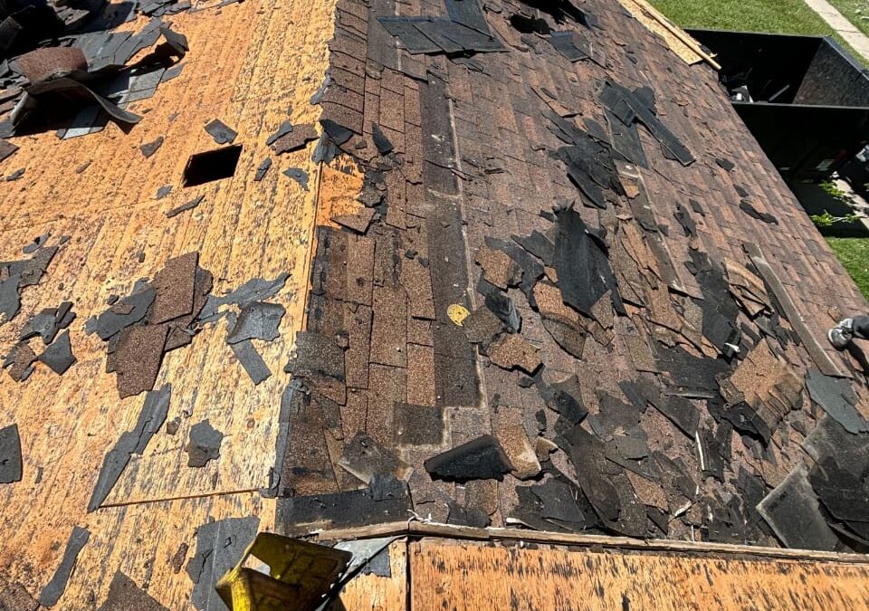 Landmark Roof Refresh in Syracuse, Utah.