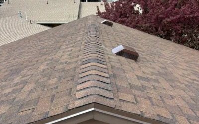 New Roof, New Look: The Burnt Sienna Landmark Project