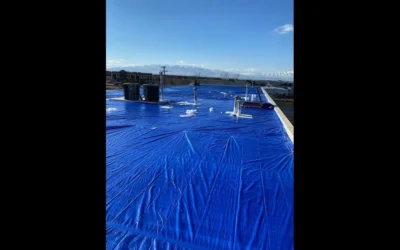 Fast and Effective: Emergency Tarps for Roofs