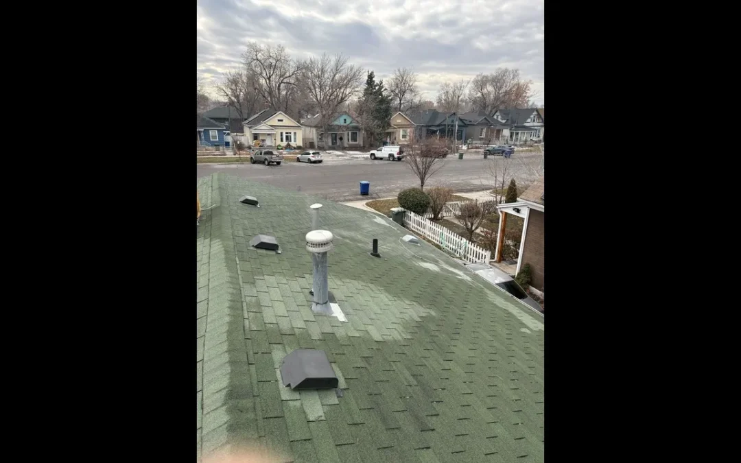 Restoring a Roof: Our Work on Hail-Damaged Shingles