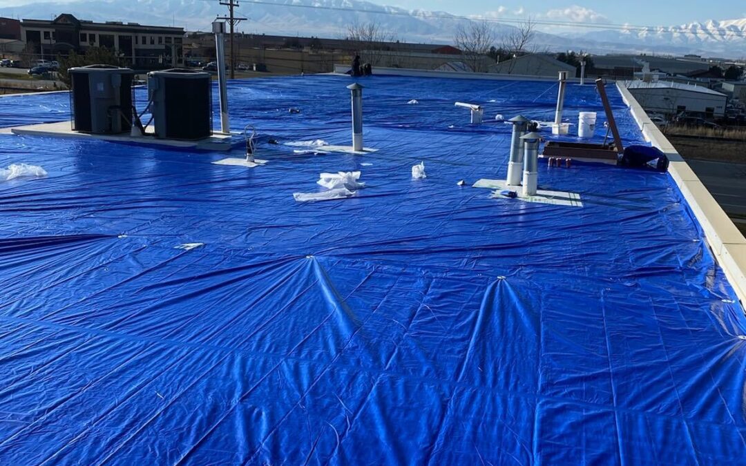 Commercial TPO Roof – Emergency Tarp Installation in Lindon, Utah
