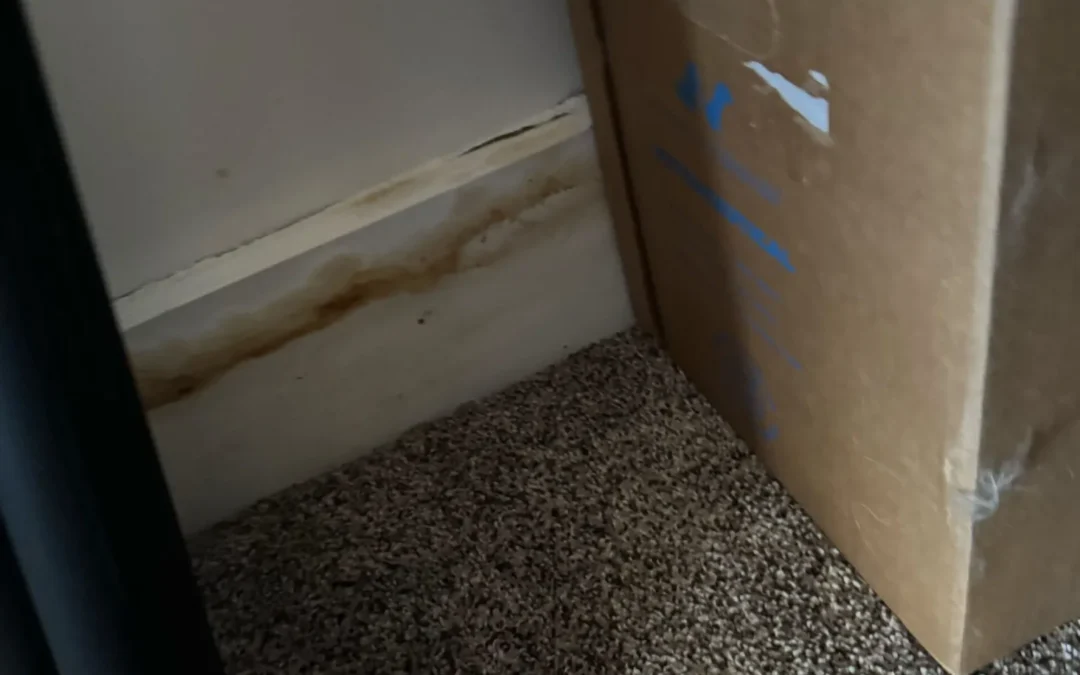 Behind the Scenes: Home Inspections in Paradise