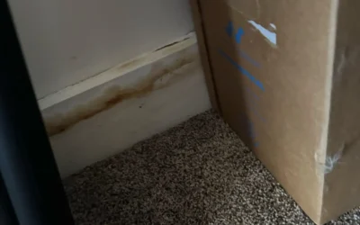 Behind the Scenes: Home Inspections in Paradise