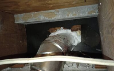 Basement Apartment Repairs in Orem, Utah: Plumbing & Electrical Solutions