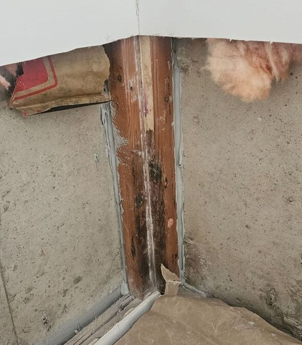 Basement Leak Repair & Sheetrock Remediation – Salt Lake City, UT