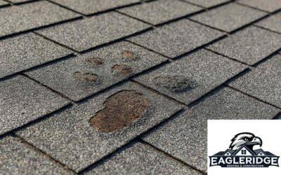 Blistered Shingles & Heat Damage – What to Watch for This Summer
