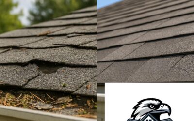 Homeowners Insurance & Roof Damage: What’s Covered, What’s Not