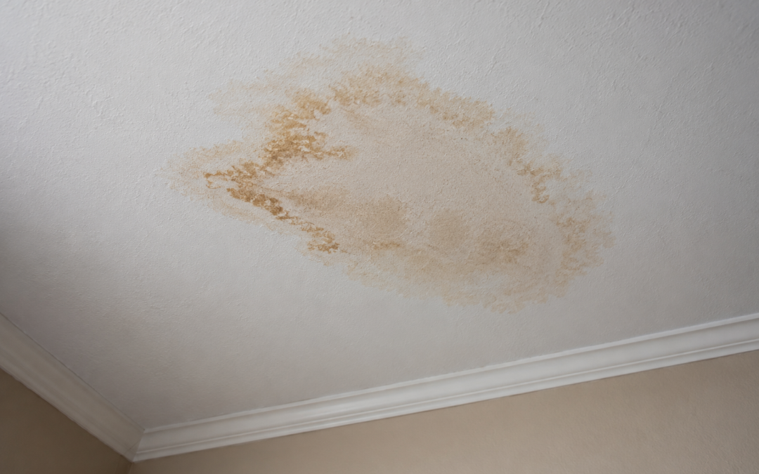 What Water Stains on Your Ceiling Usually Mean (And Why You Shouldn’t Ignore Them)