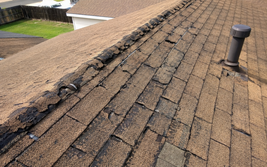 Your Roof Has Been Baking All Summer. What Did the Utah Heat Leave Behind?